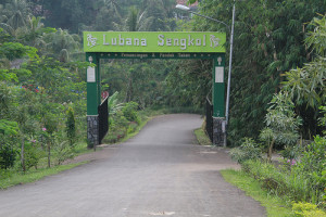 Lubana Sengkol