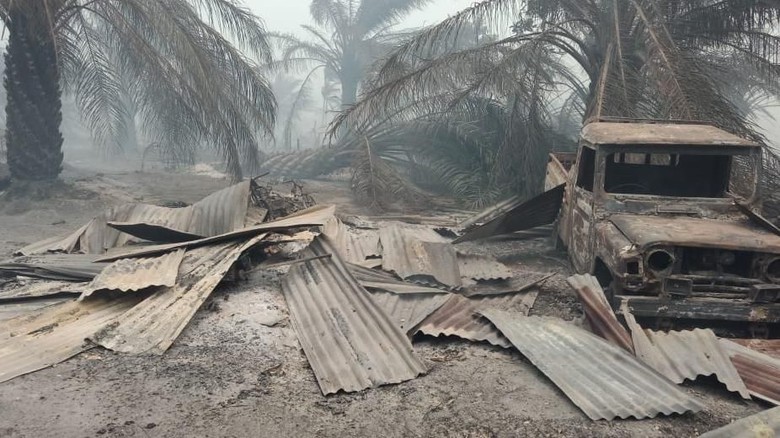 Kebakaran Lahan Sawit yang Menghanguskan 20 Rumah Warga