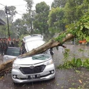 Pemerintah Kota Bogor Mencatat 1.697 Bangunan Terdampak Angin Kencang