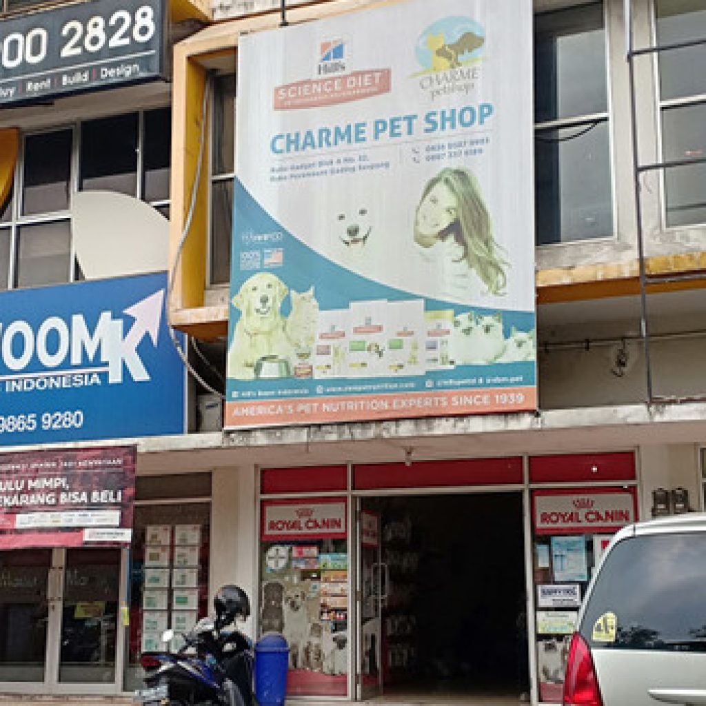 Rekomendasi Pet Shop Terlengkap di Tangsel, Cek Infonya Disini!