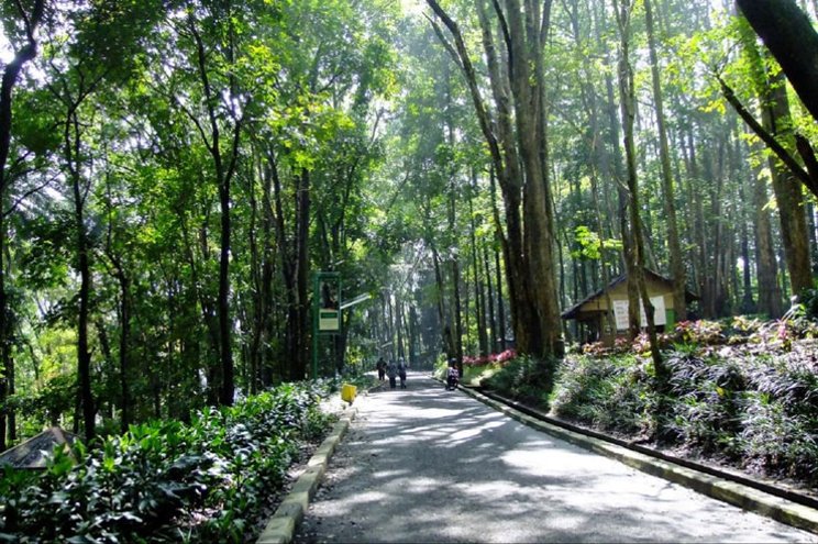 Pesona Keindahan Wisata Hutan Kota Jombang di Tangsel