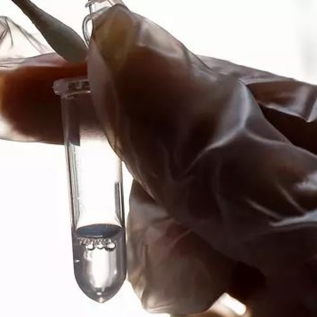 China telah selesaikan tes klinisnya terhadap Favipiravir.