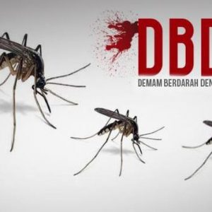 Demam Berdarah Dengue