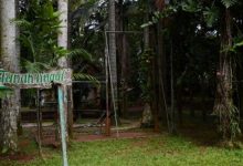 5 Hal Menarik Wisata Hutan Tanah Tinggal Tangerang Selatan