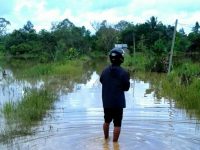 Banjir Kiriman Dari Kalimantan Timur Rendam Tiga Desa Di Tanjung Palas Timur