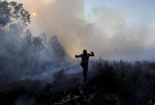 Kebakaran Hutan Karhutla Riau Mencapai 2.589 Hektare, 11 Tersangka Diamankan
