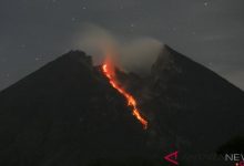 Gunung Merapi Lima Kali Meluncurkan Guguran Lava