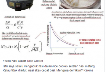 Viral! Nasi di Dalam Rice Cooker Cepat Basi, Teori Fisika  Menjelaskan Kenapa Bisa Cepat Basi