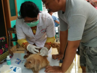 5.343 Hewan Penular Rabies di Jakarta Barat Telah Divaksin