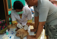 5.343 Hewan Penular Rabies di Jakarta Barat Telah Divaksin