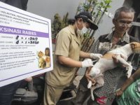 Pemerintah Kota Jakarta Pusat Optimistis Pertahankan DKI Bebas Rabies
