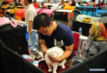 indonesia-pet-expo-2016