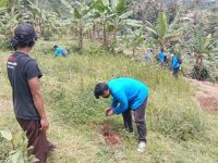 Penyuluhan Penanaman Rumput Penguat Teras Didaerah Curam di Desa Sukatani