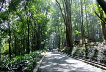 Pesona Keindahan Wisata Hutan Kota Jombang di Tangsel asl