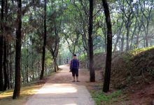 Rekomendasi Taman Sejuk Favorit di Tangsel aslie