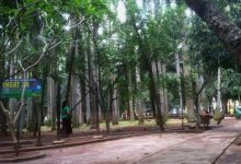 Rekomendasi Taman Sejuk Favorit di Tangsel asliii