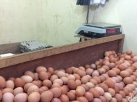 Akibat Harga Telur Naik, Konsumen Kurangi Porsi Pembelian