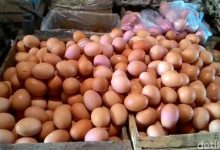 Di Kota Rembang Harga Telur Ayam Turun Menjadi Rp 25.000/Kg