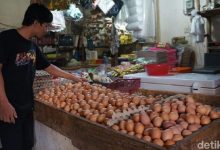 Harga Telur Ayam Melonjak hingga Rp 30.000/Kg di Karawang